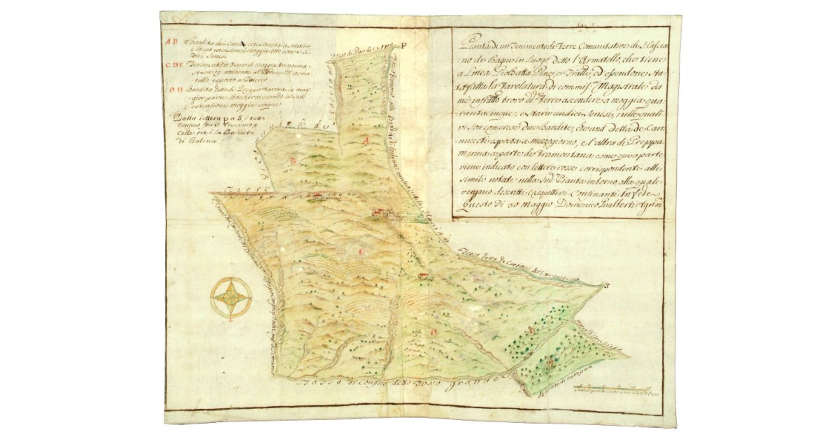 Pianta di un Tenimento di Terre Comunitative di S.Casciano de Bagni in Luogo detto l'Armatello, che tiene a Linea Gio Batta Pinzi