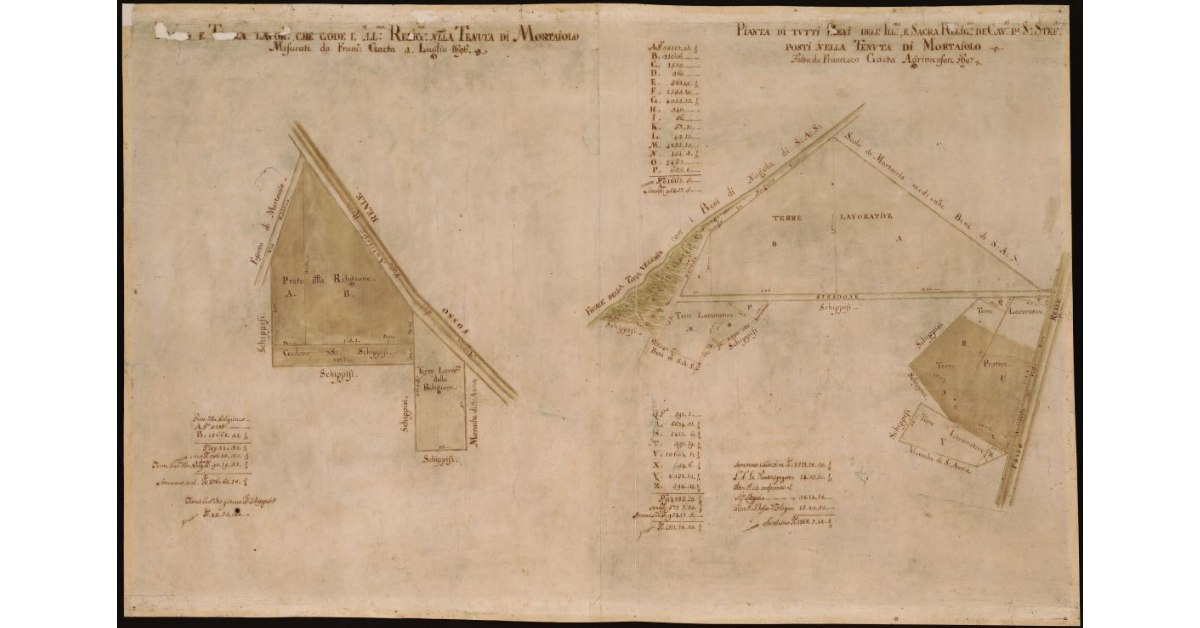 [Piante di beni dell'Ordine di S. Stefano nella Tenuta di Mortaiolo]