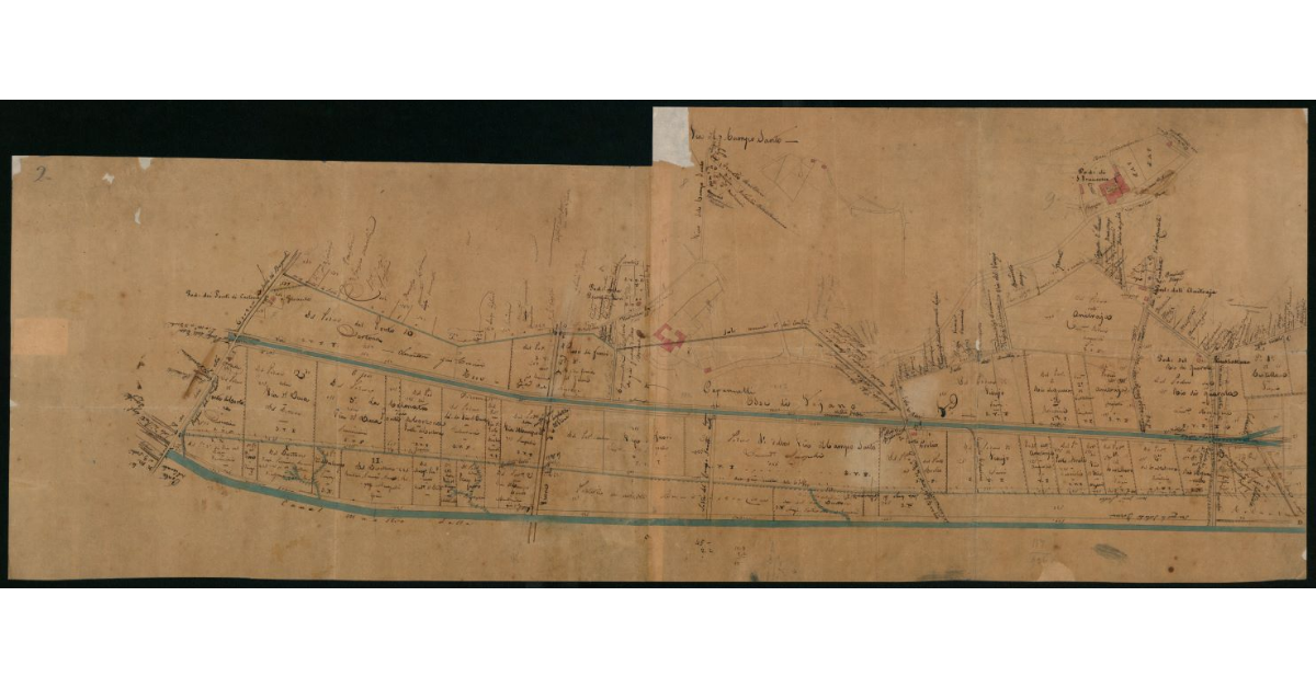 [Carta topografica di un settore appoderato della Valdichiana tra il Canale Maestro e il torrente Esse di Foiano]