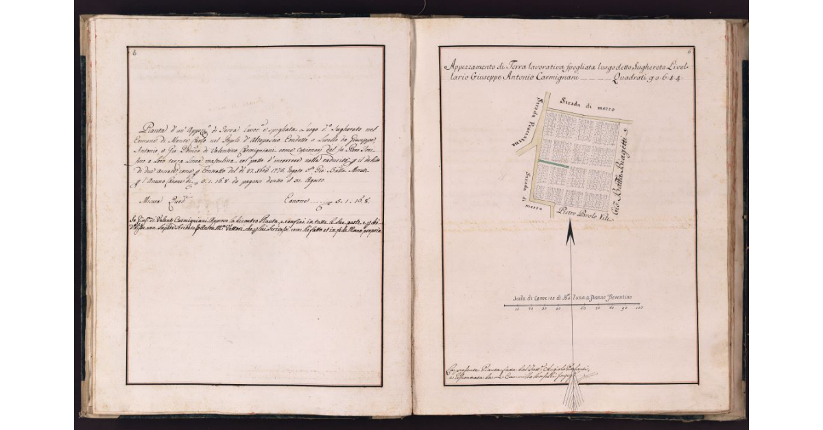 [Appezzamento di terreno posto in località Sughereto nel comune di Montecarlo]
