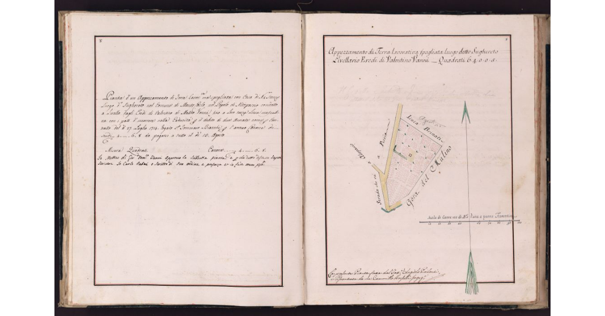 [Appezzamento di terreno situato in località Sughereto nel comune di Montecarlo]