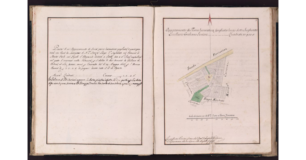 [Appezzamento di terreno situato in località Sughereto nel comune di Montecarlo]