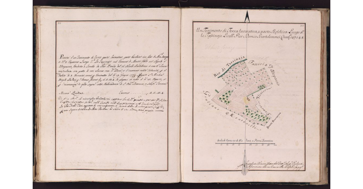 [Tenimento di terre situato situato in località Tassinaie nel comune di Montecarlo]