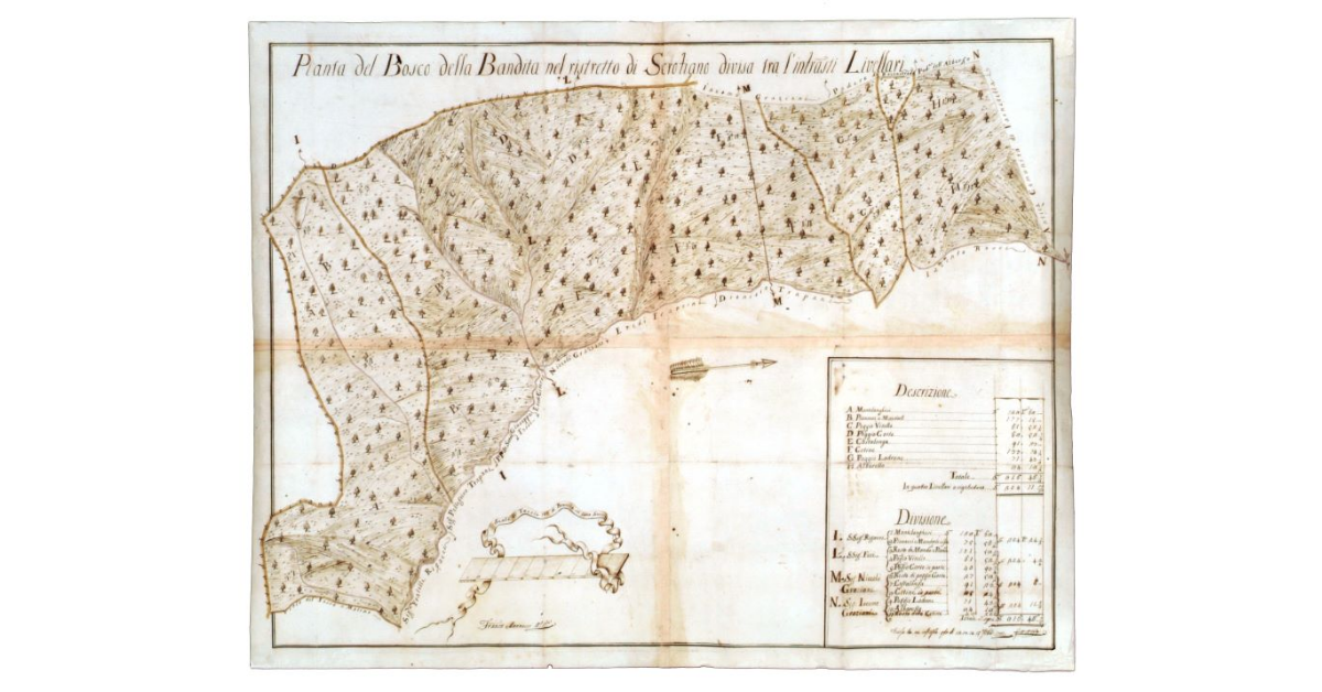 Pianta del Bosco della Bandita nel ristretto di Scrofiano divisa tra l’infrascritti Livellari
