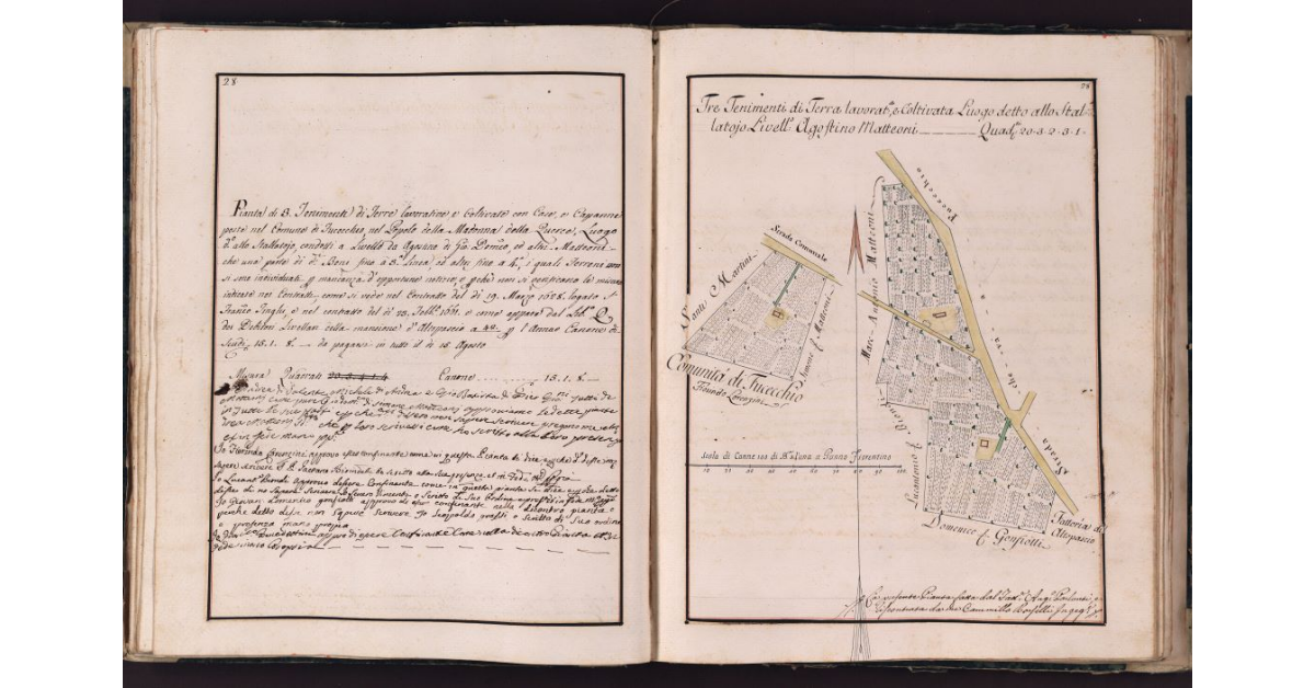 [Tenimento di terra situato in località Stallatoio nel comune di Fucecchio]