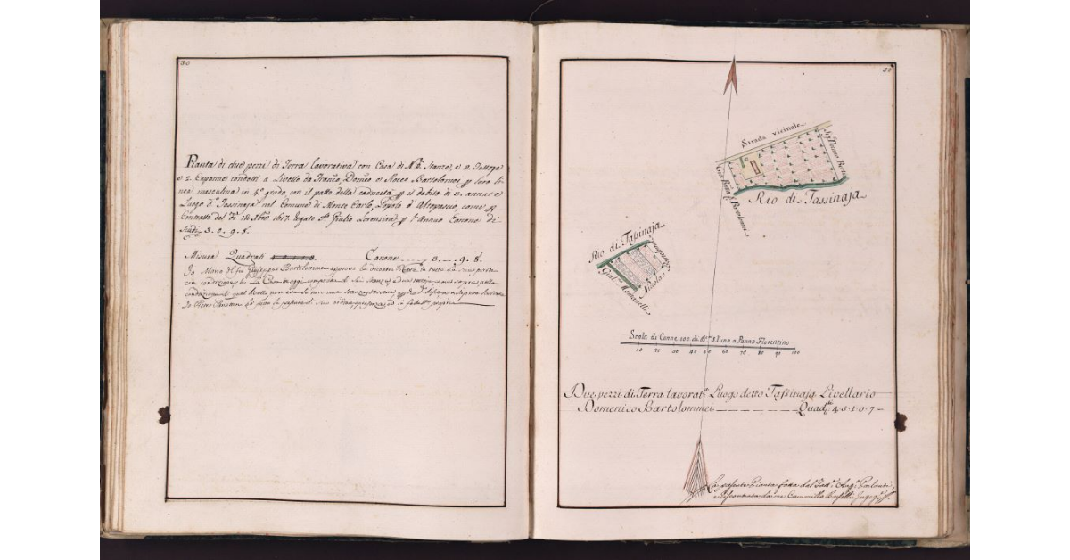 [Appezzamenti di terreno situati in località Tassinaia nel comune di Montecarlo]