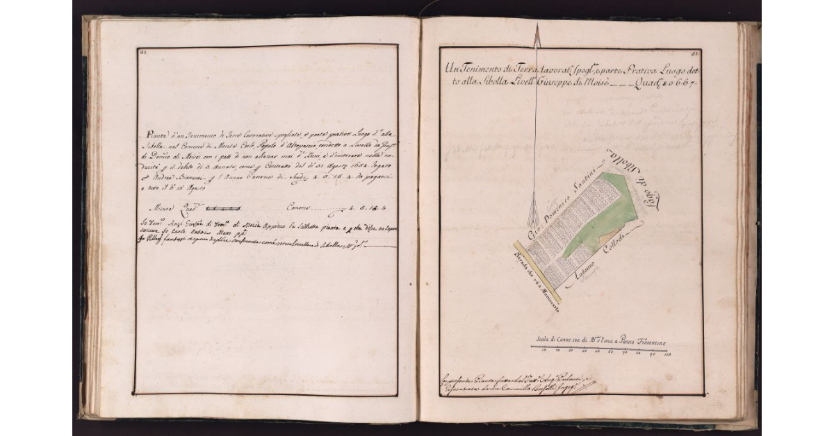 [Appezzamento di terreno situato in prossimità del lago di Sibolla nel comune di Montecarlo]