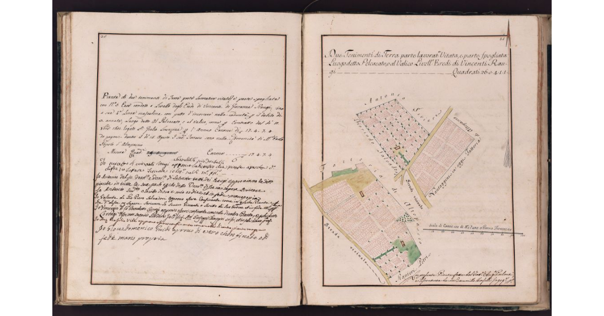 [Tenimenti di terra situati in località Pelcacato o Valico nel comune di Montecarlo]