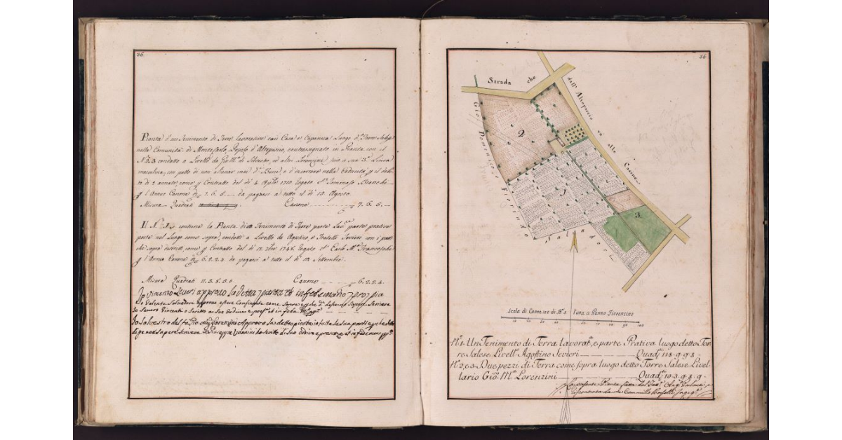 [Pianta di alcuni terreni situati in località Torre Salese nel comune di Montecarlo]