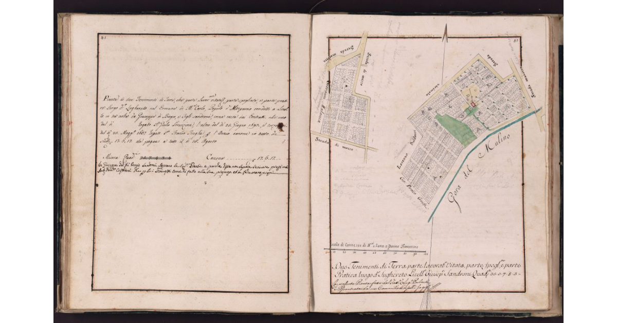 [Pianta di due tenimenti di terra situati in località Sughereto nel comune di Montecarlo]