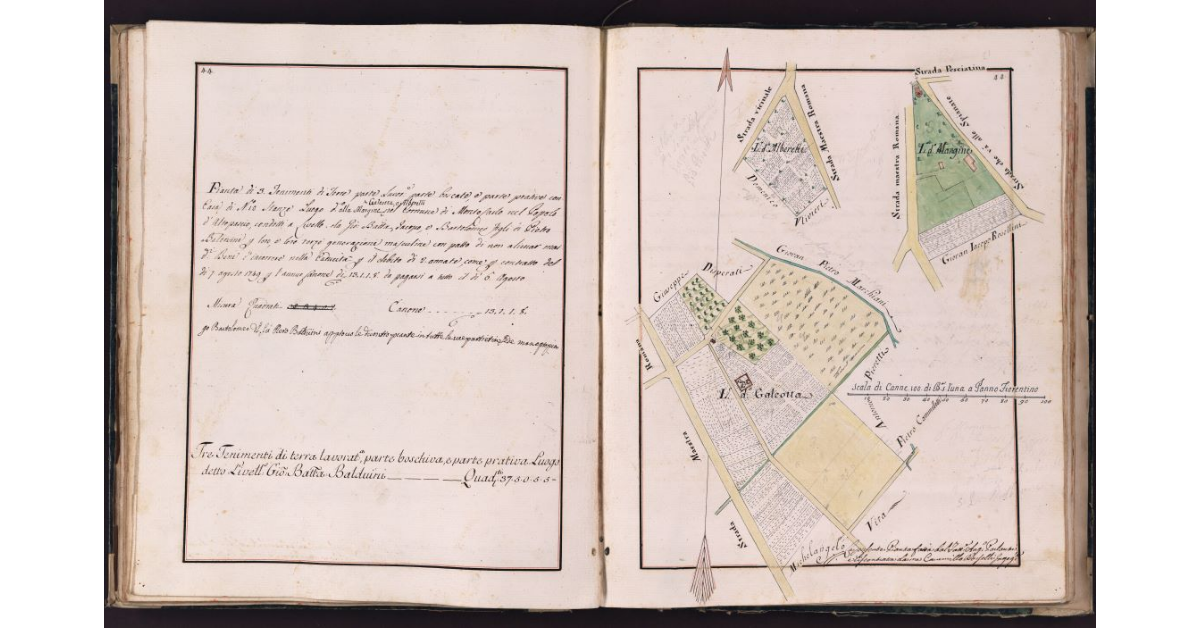 [Pianta di tre tenimenti di terra situati in località Galeotta, Alberelli e Margine nel comune di Montecarlo]