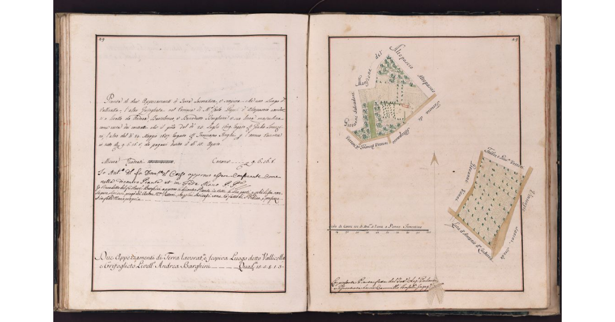 [Appezzamenti di terreno situati in località Vallicella e Grifoglieto nel comune di Montecarlo]