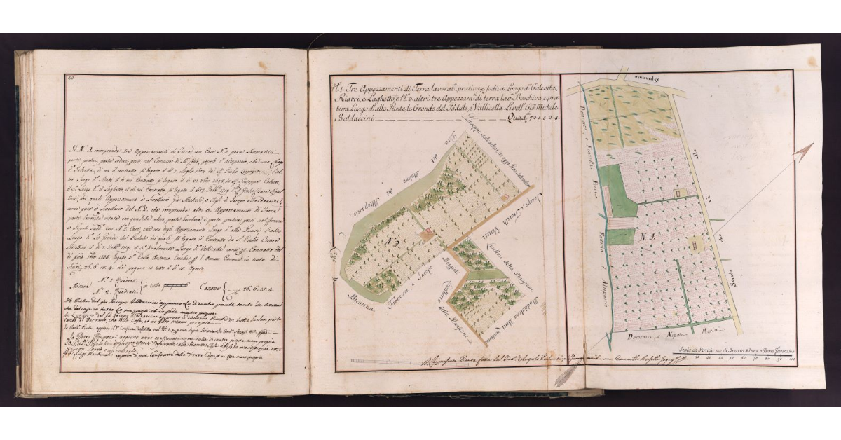 [Tenimenti di terra situati in località Galeotta e Gronde del Padule nel comune di Montecarlo]
