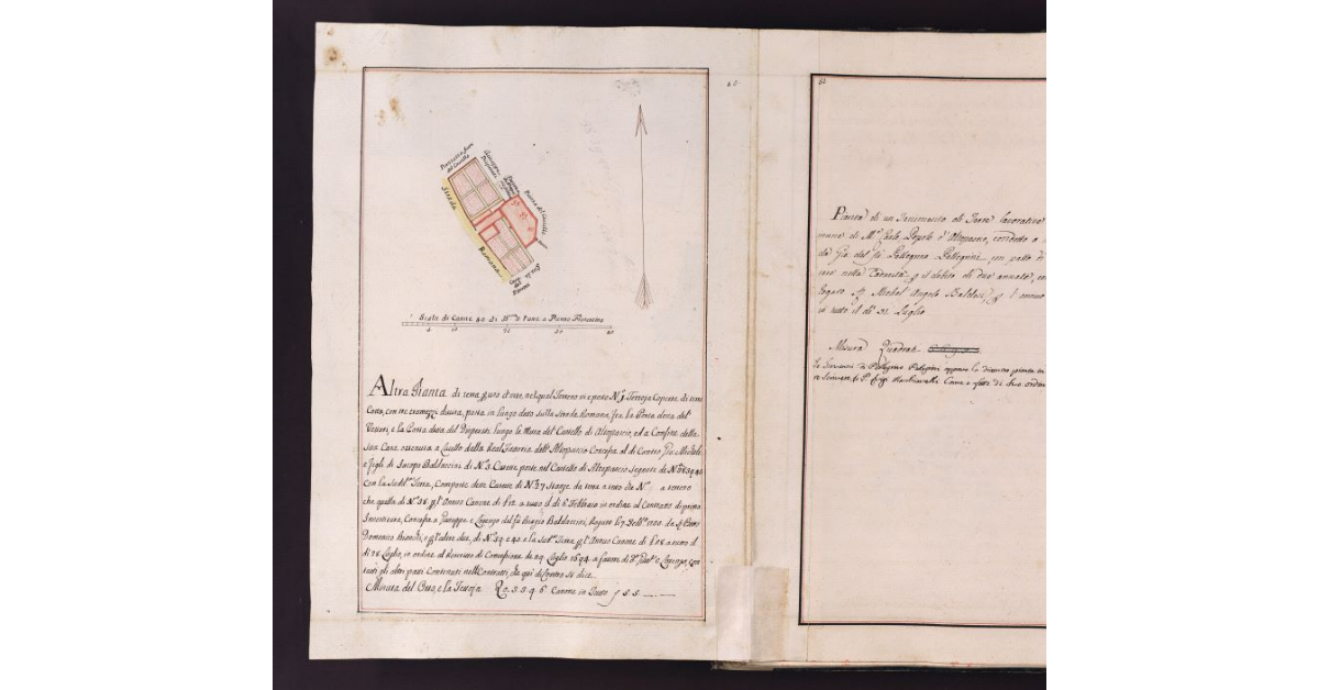 [Pianta dell’orto posto lungo le mura del castello di Altopascio]