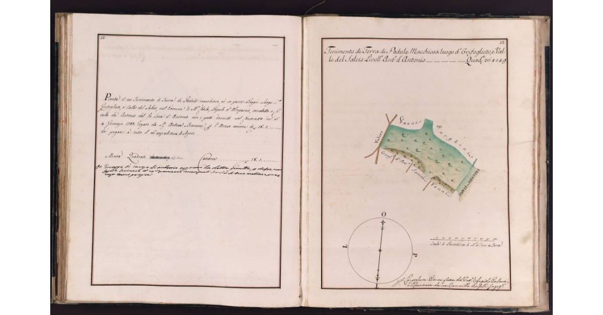[Appezzamento di terreno situato in località Grifoglieto e Valle del Salcio nel comune di Montecarlo]