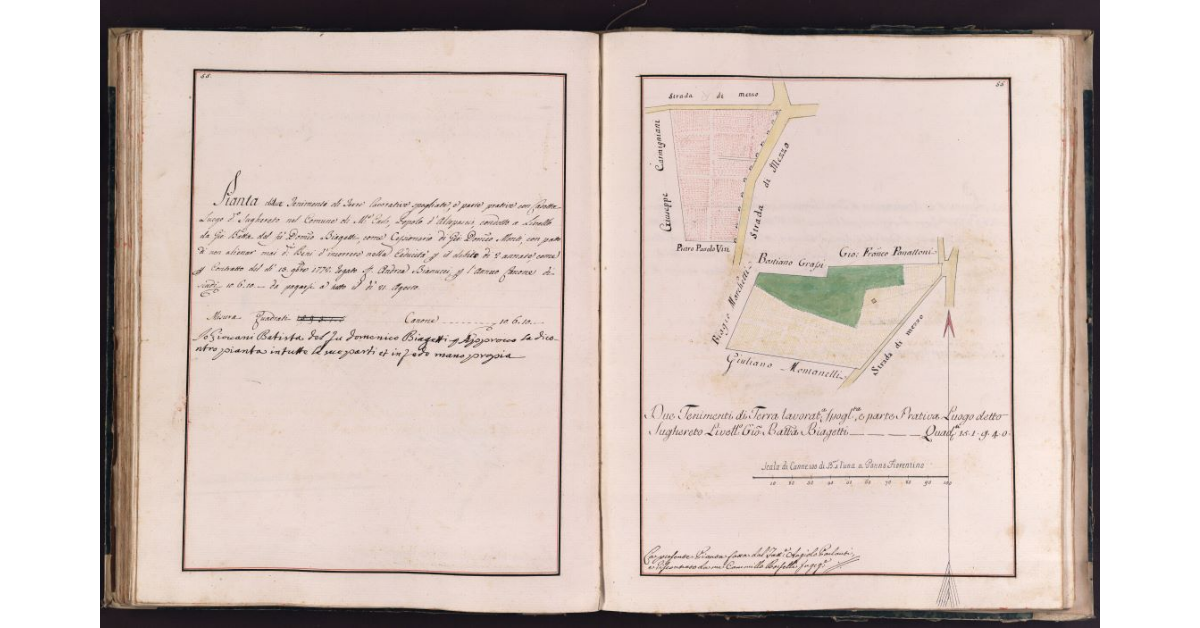 [Tenimenti di terra situati in località Sughereto nel comune di Montecarlo]