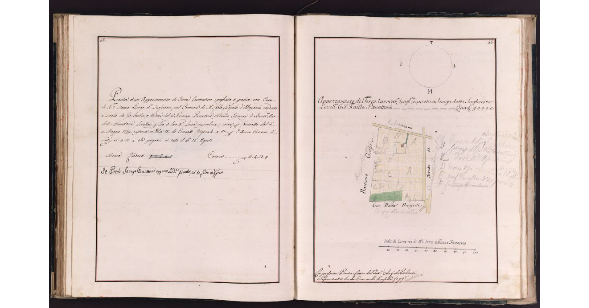 [Appezzamento di terreno situato in località Sughereto nel comune di Montecarlo]