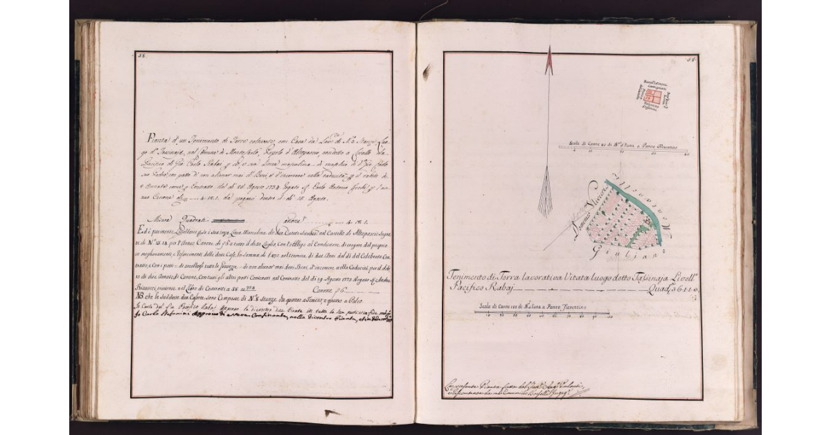 [Appezzamento di terreno situato in località Tassinaia nel comune di Montecarlo]