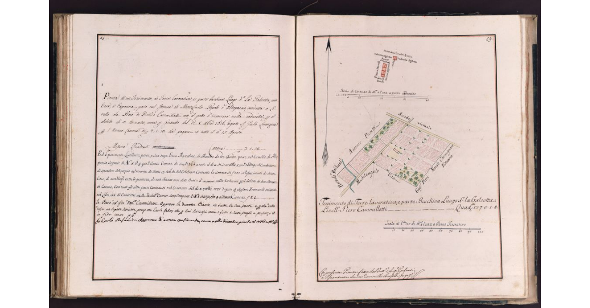 [Tenimento di terra situato in località Galeotta nel comune di Montecarlo]