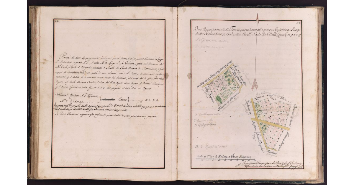 [Appezzamenti di terreno situati in località Belvedere e Galeotta nel comune di Montecarlo]