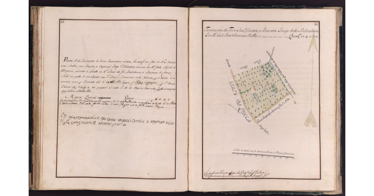 [Appezzamento di terreno situato in località Belvedere nel comune di Montecarlo]
