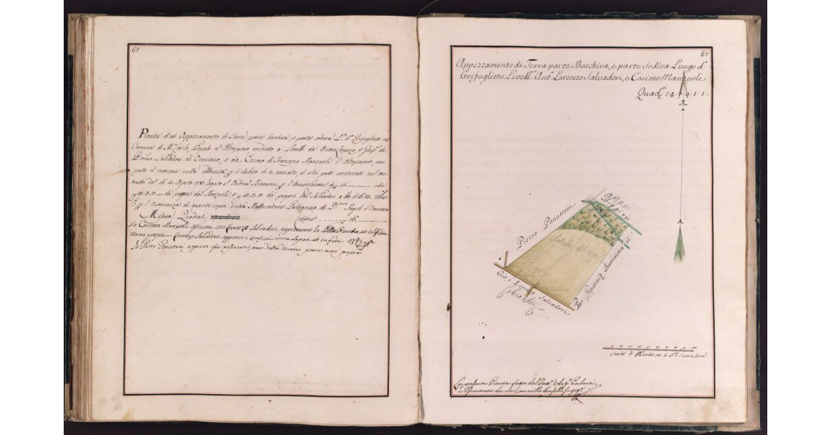 [Appezzamento di terreno situato in località Grifoglieto nel comune di Montecarlo]