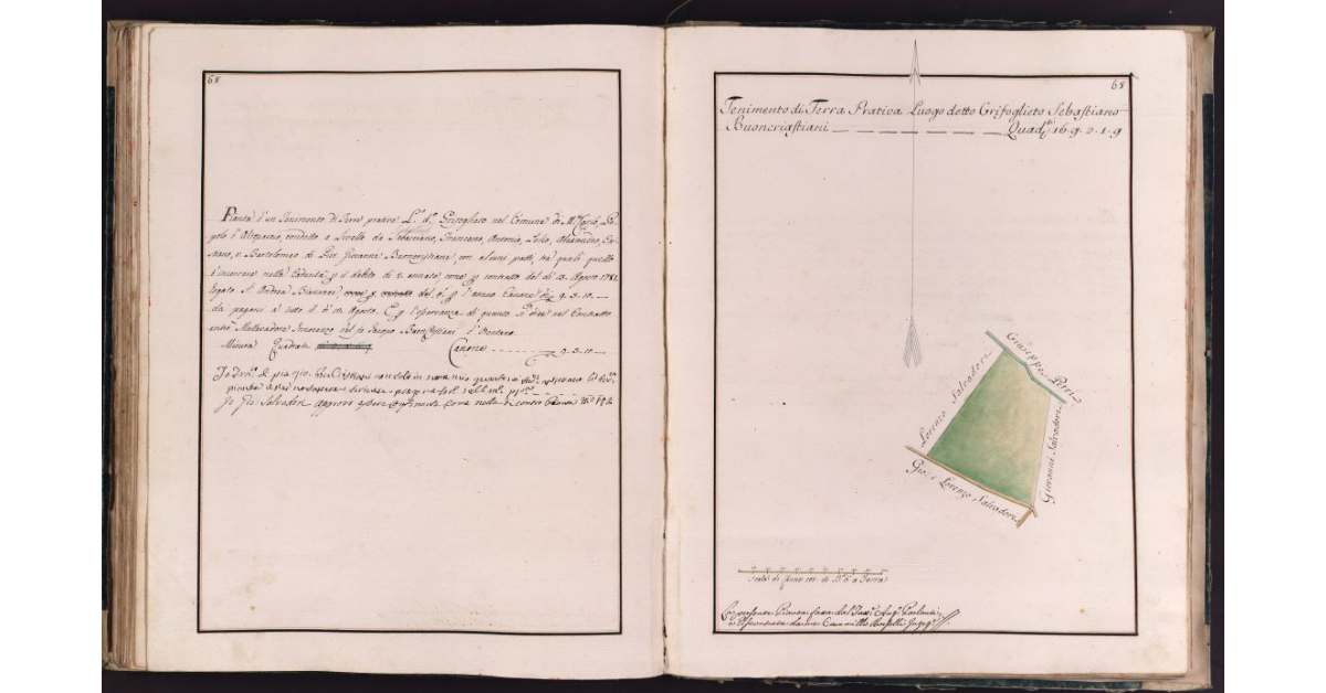 [Tenimento di terra situato in località Grifoglieto nel comune di Montecarlo]