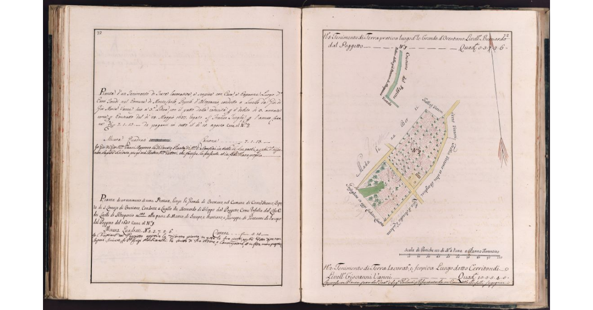 [Tenimenti di terra situati in località Cerrifondi e Gronde di Orentano nel comune di Montecarlo]