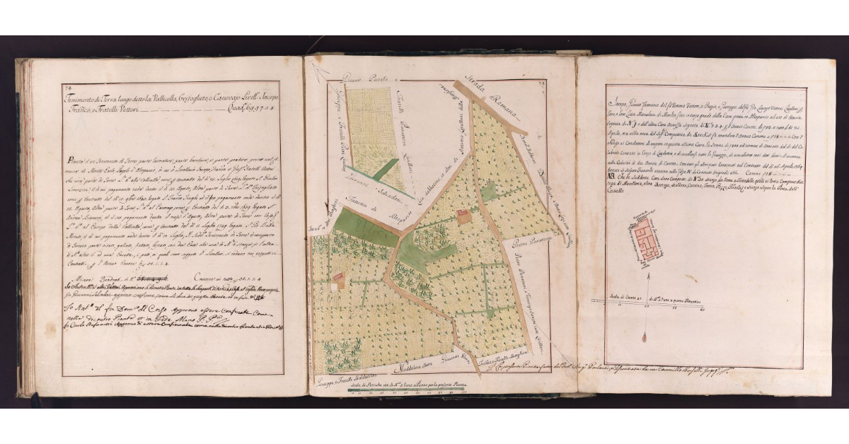 [Tenimento di terra situato in località Vallicella, Grifoglieto e Canovaio nel comune di Montecarlo]