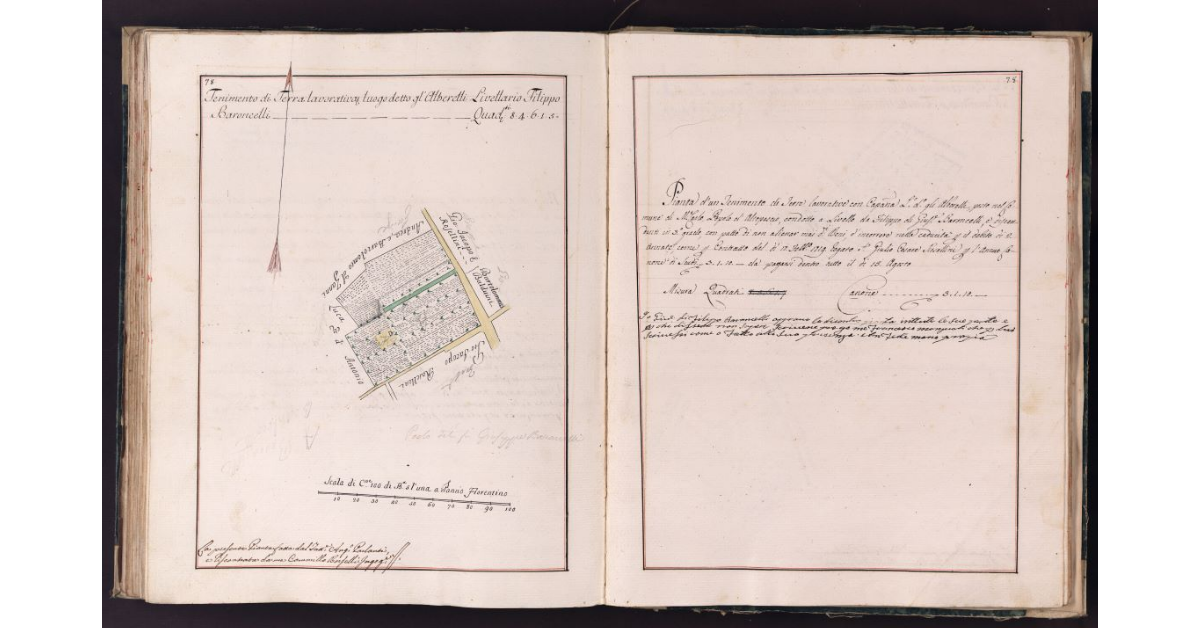 [Tenimento di terra lavorativa situato in località Alberelli nel comune di Montecarlo]