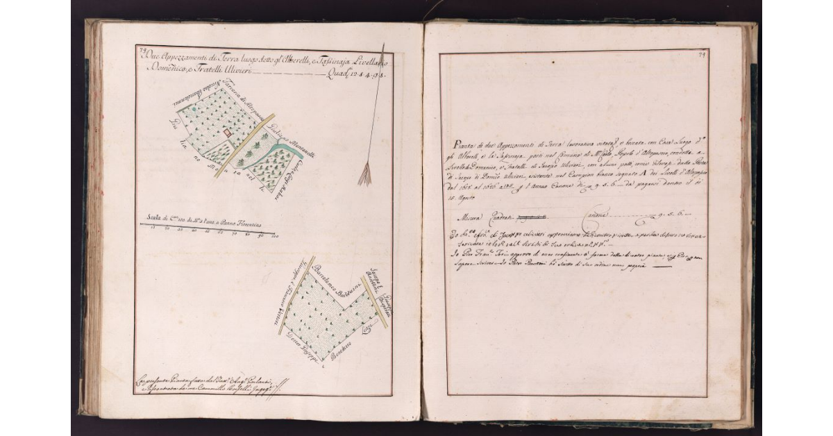 [Appezzamenti di terreno in località Alberelli e Tassinaia nel comune di Montecarlo]