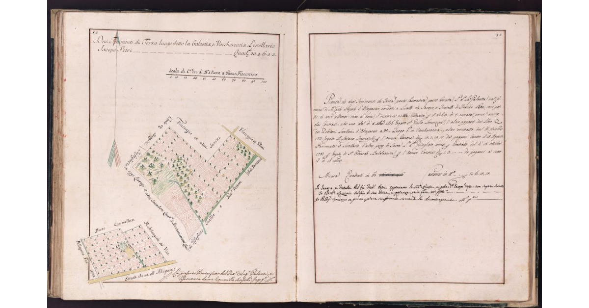 [Tenimenti di terra situati in località Galeotta e Vacchereccia nel comune di Montecarlo]