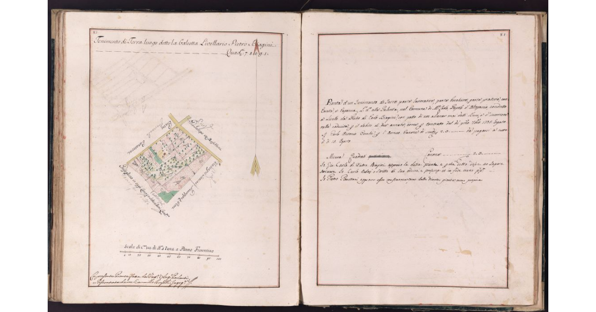 [Tenimento di terra situato in località Galeotta nel comune di Montecarlo]