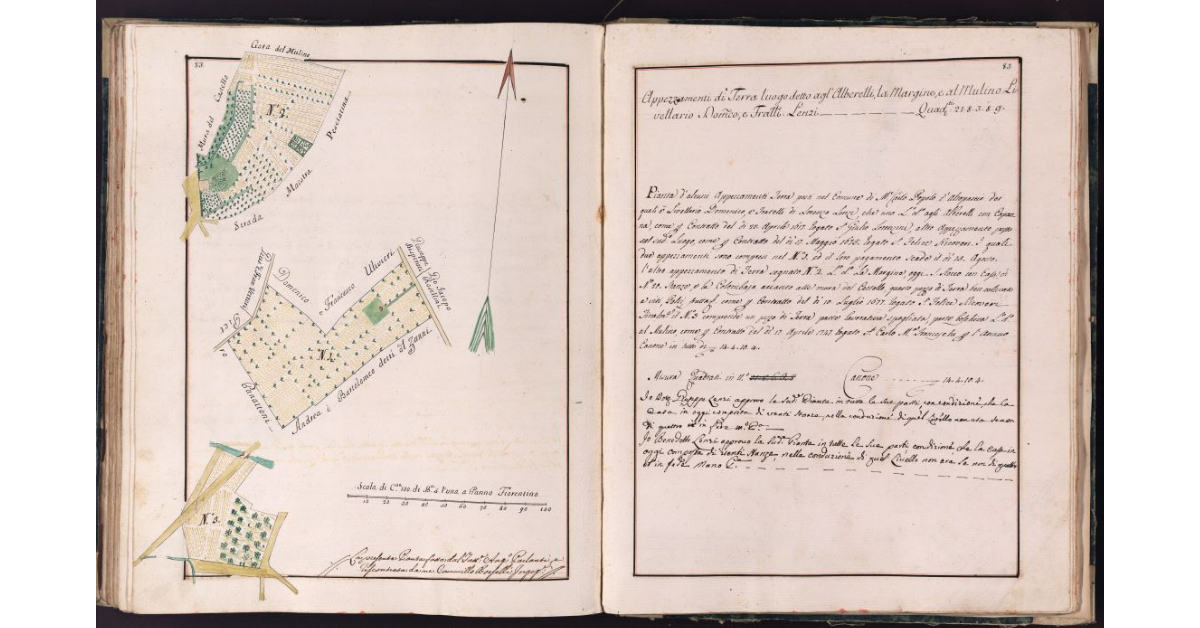 [Appezzamenti di terra situati in località Alberelli, Margine e Mulino nel comune di Montecarlo]