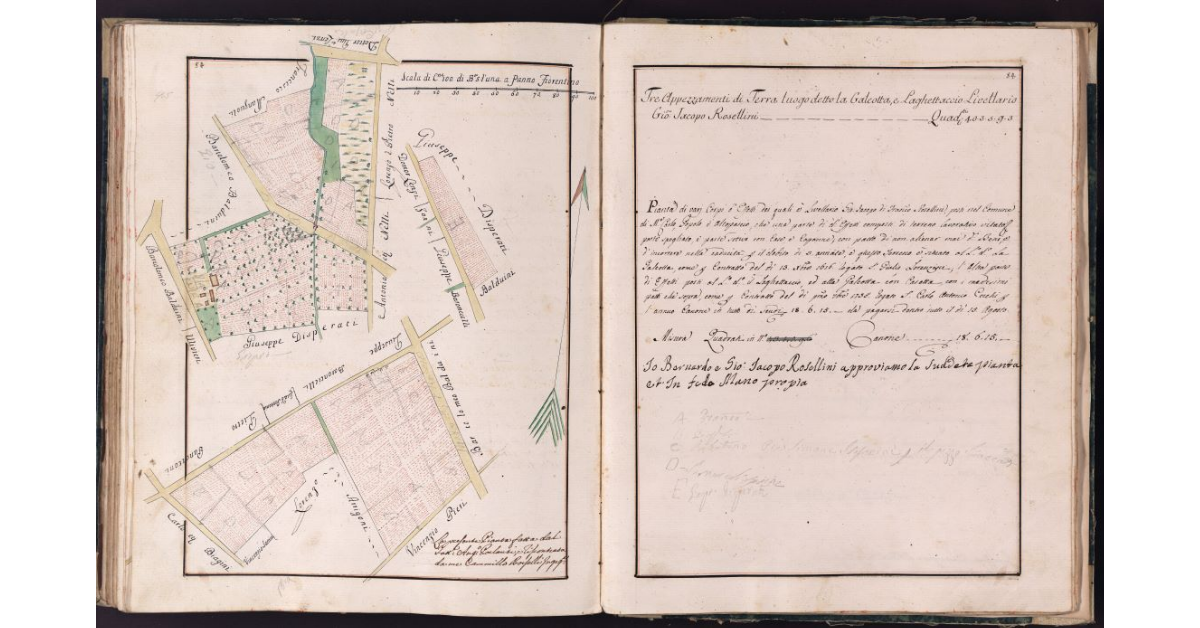 [Appezzamenti di terreno situati in località Galeotta e Laghettaccio nel comune di Montecarlo]