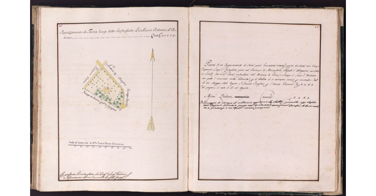 [Appezzamento di terreno situato in località Grifoglieto nel comune di Montecarlo]