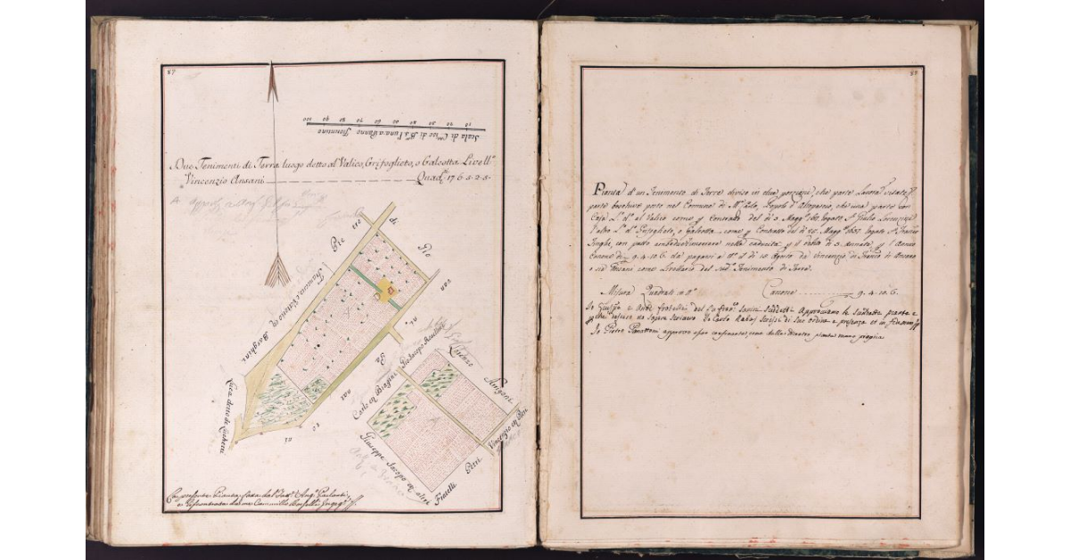 [Tenimenti di terra situati in località Valico e Grifoglieto nel comune di Montecarlo]