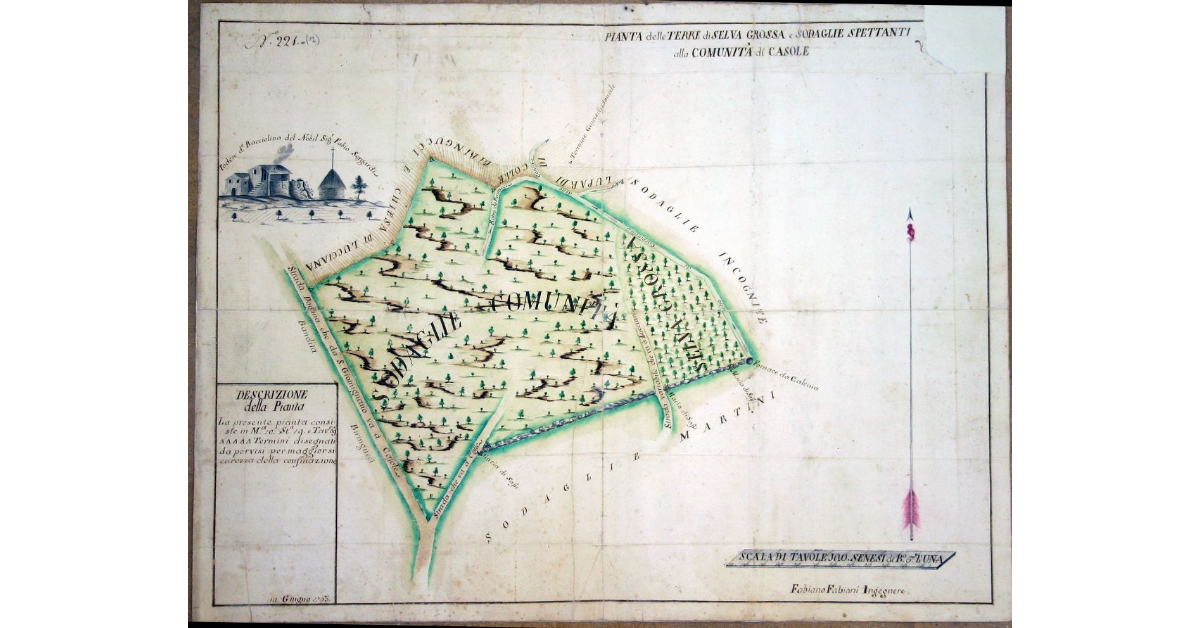 Pianta delle Terre di Selva Grossa e Sodaglie Spettanti alla Comunità di Casole