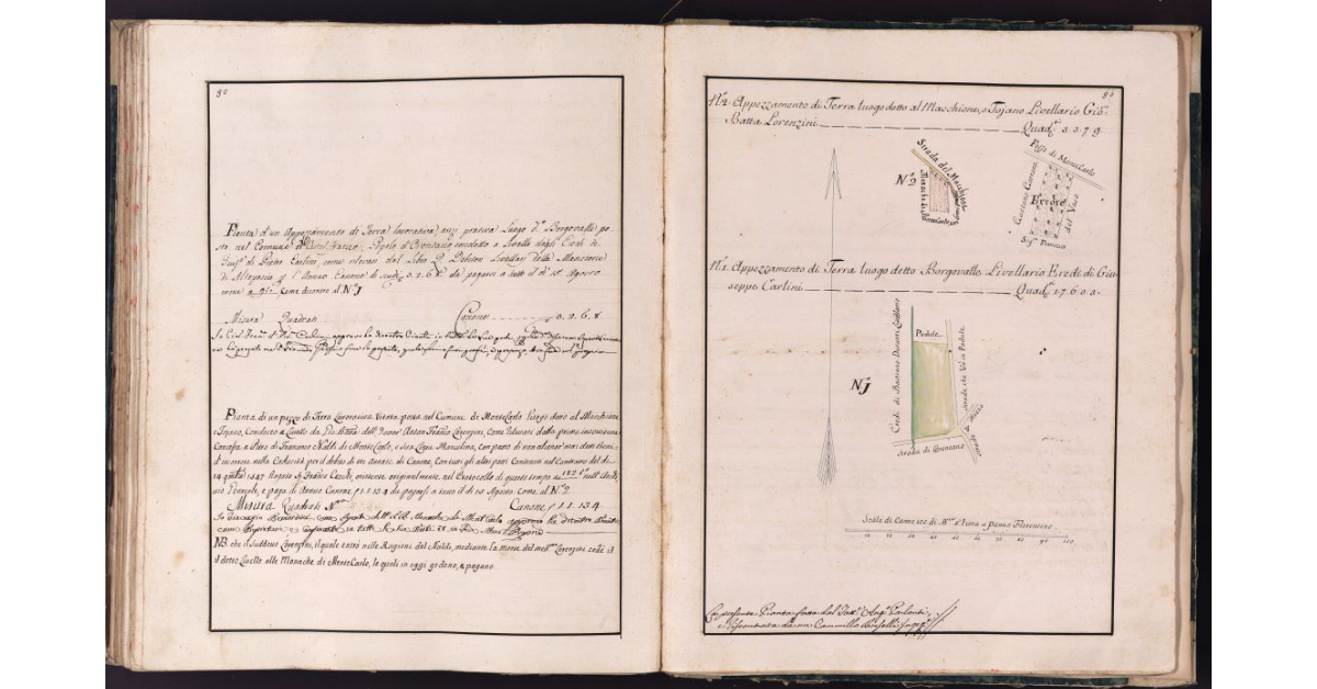 [Appezzamenti di terreno situati in località Macchione e Borgovalle nei comuni di Castelfranco e Montecarlo]