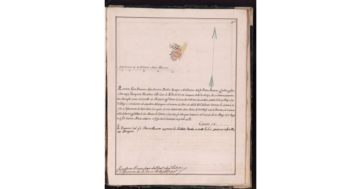 [Pianta delle case poste nel Castelo di Altopascio concesse a livello ai fratelli Baroni]