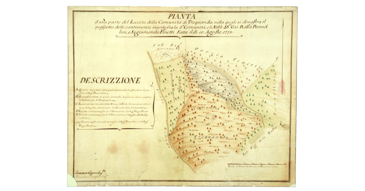 Pianta d'una parte del Lecceto della Comunità di Trequanda, nella quale si dimostra il prospetto delle controversie insorte fra la d.a Comunità, e li Nobb.SS.ri Gio. Batta Pannellini, e Sigismondo Finetti