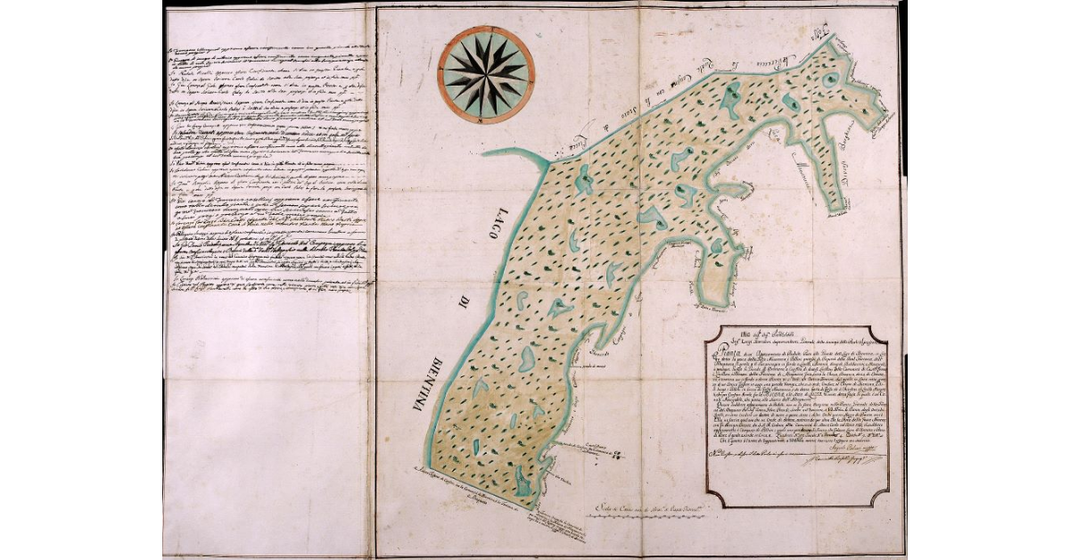 [Pianta di una porzione di padule posto lungo le gronde del lago di Bientina]