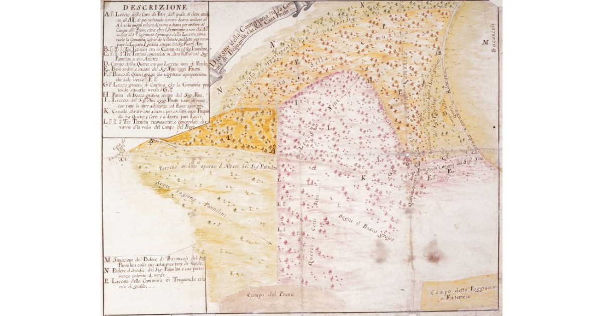 Disegno della Controversia tra la Comunità di Trequanda, e la Nob: Casa Finetti