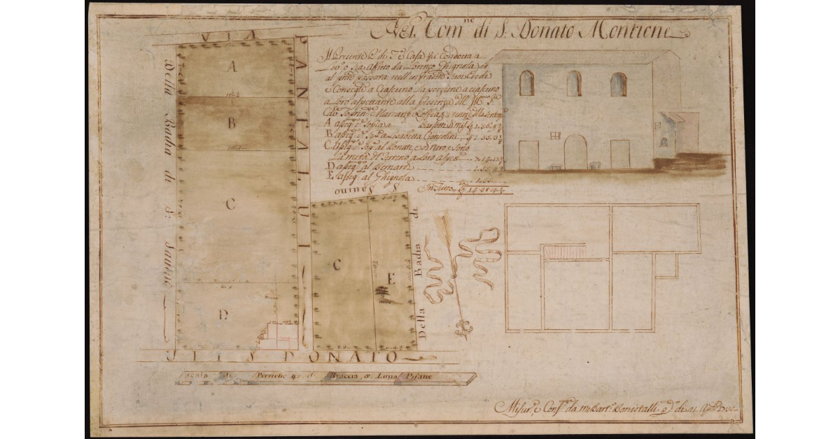 [Terreni e Casa] Nel Comune di S. Donato Montione