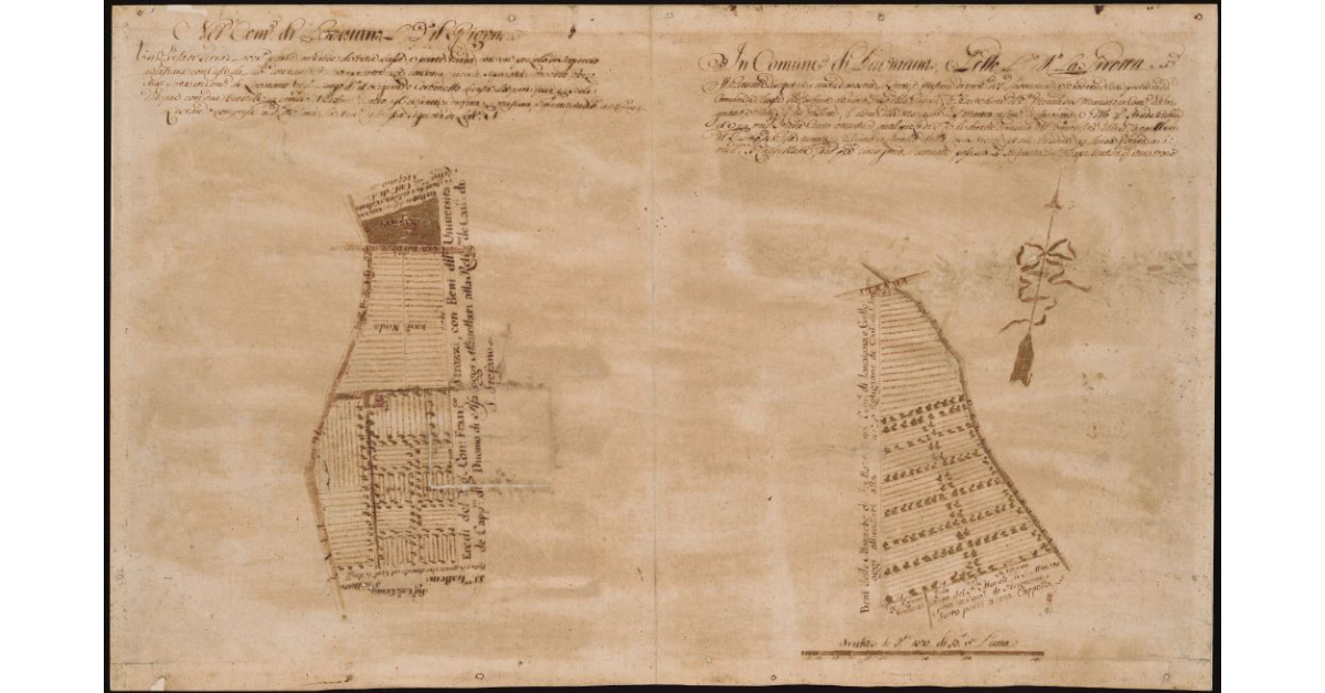 [Terreni] Nel Comune di Lavaiana luogo detto Il Rigone e in Comune di Lavaiana e Gello luogo detto La Girotta