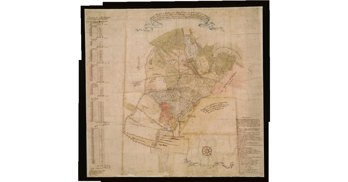 Pianta nella quale si dimostra tutti li Pezzi di Terra, che gode il Signore Cavaliere Michele Grifoni dentro i Confini della Comunità di Fauglia [...]