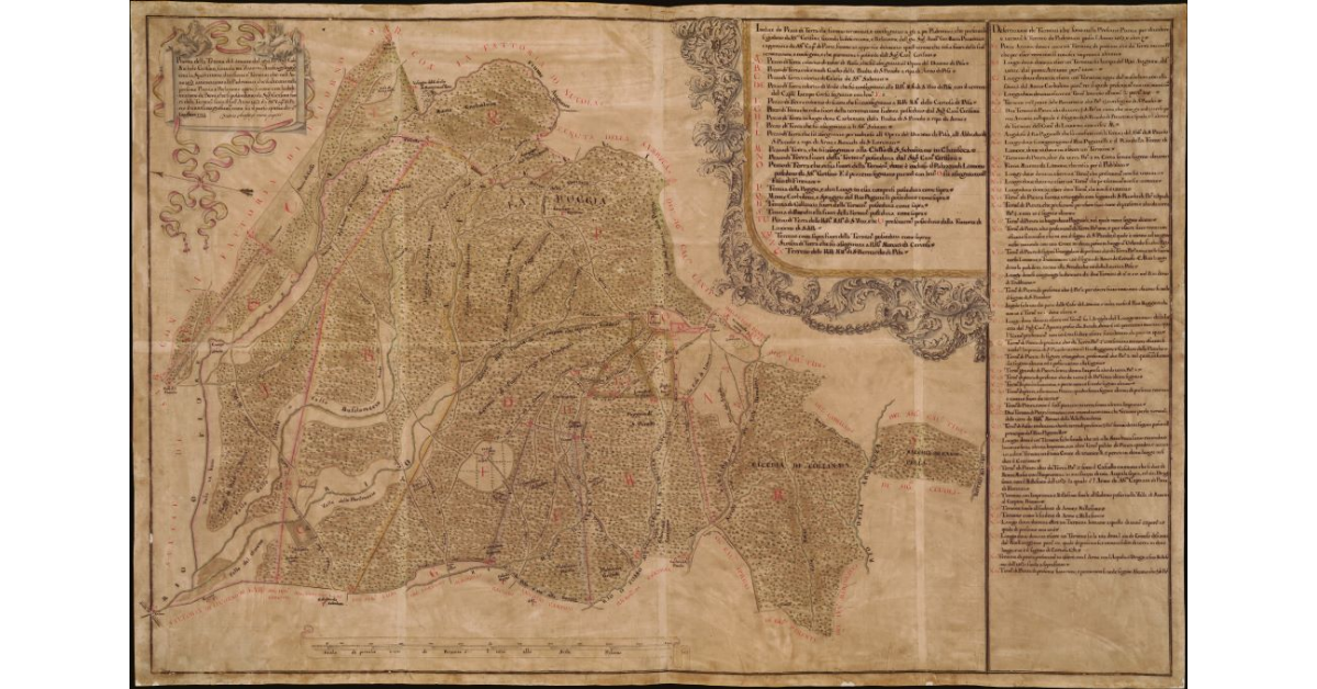 Pianta della Tenuta di Limone del già Illustrissimo Sig.r Cav. Michele Grifoni [...]