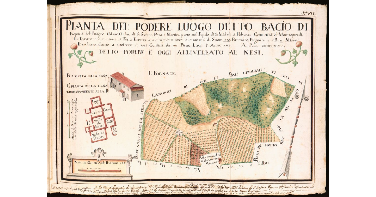 Pianta del podere detto a Bacìo [...] posto nel Popolo di S. Michele a Polvereto, Comunità di Montespertoli in Toscana [...]