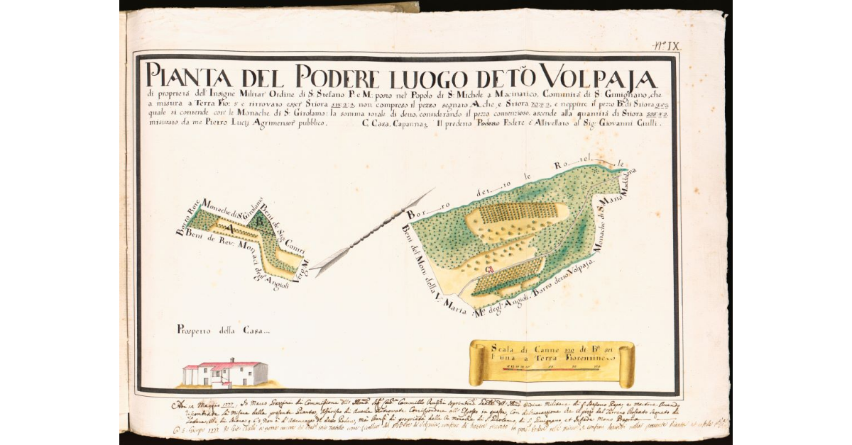 Pianta del podere luogo detto Volpaja [...] posto nel Popolo di S. Michele a Macinatico, Comunità di San Giminiano [...]