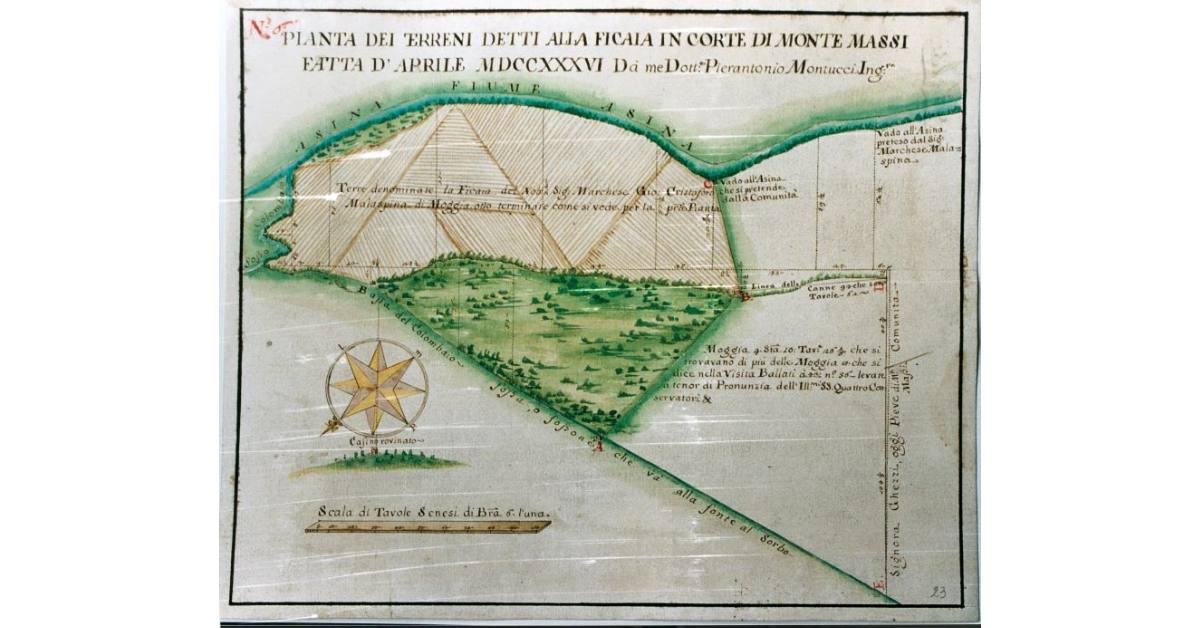 Pianta dei Terreni detti alla Ficaia in Corte di Monte Massi fatta d’Aprile MDCCXXXVI da me Dottor Pierantonio Montucci Ingegnere